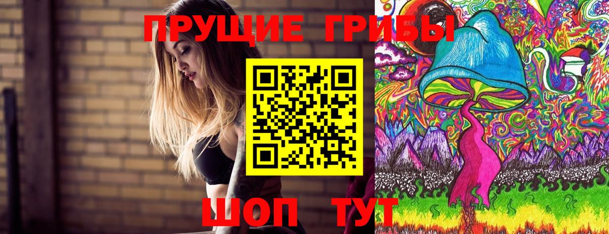 Галлюциногенные грибы мицелий  купить наркотик  Вход с VPN  Норильск  Галлюциногенные грибы MAGIC MUSHROOMS 